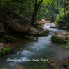 Pure Spa Massage Music、Soothing Cat Music、Backgroundmusic - Water Vibe Stream