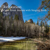Classical Music For Relaxation、Natural Baby Sleep Aid、SPA - Luscious and Uplifting