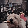 Jaime Velasco、Granuxi - Sci-Fi (feat. Granuxi)(Explicit)