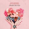 David Novacek、Jasmine Knight - Crush on You