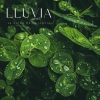 Lluvia Relajante para Dormir、Meditación、#Relajante - Rápidos Calmantes