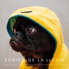 Calma y Relajación、Canciones de Cuna para Dormir、Ruido blanco para concentración - Noche Lluviosa