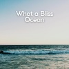 Sea Waves Sounds《Ocean Relief》[MP3/LRC]