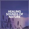 Thunderstorm Meditation - Wonderful Sounds of Thunder and Piano.