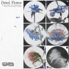 wave to earth - dried flower