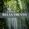 Música Relax para Bares、Binaural Beats Tons de Estudo、Momento - Insetos Noturnos