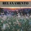 Música para Programar、Suave Música para Dormir、Ruído branco Academia De Música - Aves Cantando