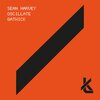 Sean Harvey - Oscillate (Original Mix)