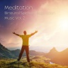 Spa Music & Meditation Collective、Binaural Beats Solitude、Tuesday Morning Jazz Playlist《Ambient Hz Tone》[MP3/LRC]