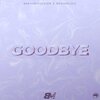 BrainMusic - GOODBYE (Instrumental)