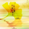 冯鑫阳 - 你是我回忆里的苦