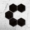 Catalyst - Delirium Nostrum