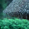 微风拂面 - 第01集 催眠雷雨声安静的雨 无雷