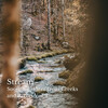 Soothing Music for Sleep、Relating Noises、Sleep Songs with Nature Sounds - Background Music for Studying
