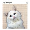 Music For Cats - Kitty Cat Dreams Calming Ambient Music for Your Cat, Pt. 1