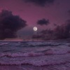 Abel Tesfaye、Syrex、Axel Hedfors、DVO、Sebastian Ingrosso、PACANI、Steve Angello、Sped Up Mage、Merdy - Moth to a Flame (Sped Up)