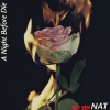 NAT - Intro