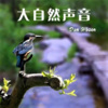 微风拂面 - 第01集 大明山清晨的河滩