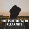 Aide Au Sommeil - Musique Douce Dormir