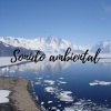meditacion ambiental - Alivio a la mente