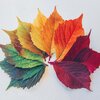 Clovers - Autumn