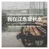 乖乖吖 - 我在江东望秋水