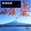LL. - 普通Disco