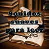 meditacion ambiental - Sonidos relajantes