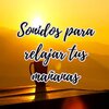 meditacion ambiental - sonidos relajantes para la mente