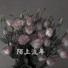 苏小宝、张嘻嘻《删除我吧》[MP3/LRC]