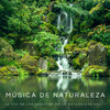 Estudiar música para concentrarse、Musica Para Leer、Olas Glaciares - Madre Naturaleza