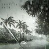 Adam Mist - Tropical Rain