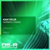 Adam Taylor - Haziness (Extended Mix)