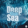 Fake and True - Seas of Passion