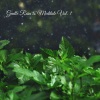 Spa Music & Meditation Collective、Yoga Meditation Music、Meditation Dream - The Rain of Peace Chant