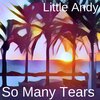 Little Andy - So Many Tears (Instrumental Version)