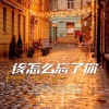 蓝色冰红茶 - 该怎么忘了你