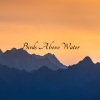 Birds Above Water、Dog Relaxing Zone - Breathtaking Life