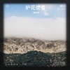 高宇辰 - 护花使者