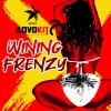 AdvoKit Productions、Syo - Wining Frenzy