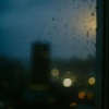 burbank - window