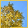 Neighbour - Where the Sun Comes Out