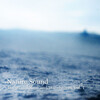 Natures Acoustics、Nature Recordings、Soothing Nature Sound - Relaxing Thunder Yoga Meditation