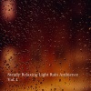 Meditation Spa、Soothing Cat Music、Relaxing Collection《Rejoicing in the Rain》[MP3/LRC]