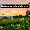 Nature Sound Series、Nature Sound Collection、Sounds Of The Earth - Nature sounds and music, Pt. 1