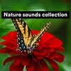 Nature Sound Series、Nature Sound Collection、Sounds Of The Earth - Nature sounds collection, Pt. 1
