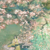 湫璃Ciori - 临水照花