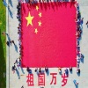 郭凇男、张帆宇 - 年轻的朋友来相会