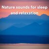 Nature Sound Series、Nature Sound Collection、Sounds Of The Earth - Nature sounds for sleep and relaxation, Pt. 1