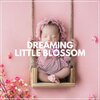Help Your Baby Sleep Through The Night - Gentle Lullaby Thoughts, Pt. 1